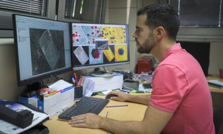 Investigadores del CSIC usarán satélites para anticiparse a plagas en bosques mediterráneos
