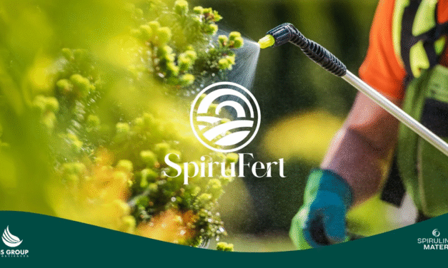 Spirufert, el poder de la spirulina al servicio de la agricultura moderna