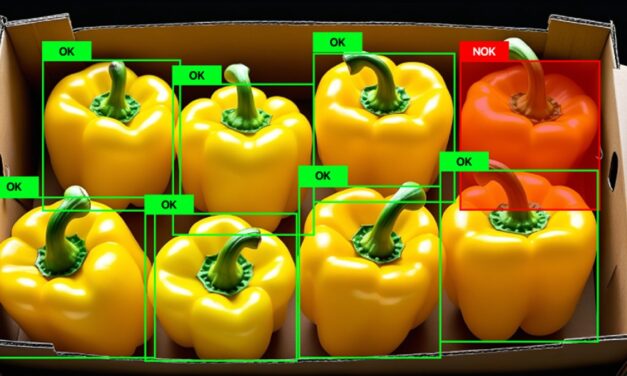 Visión artificial en el sector agroalimentario, eficiencia y control en cada etapa