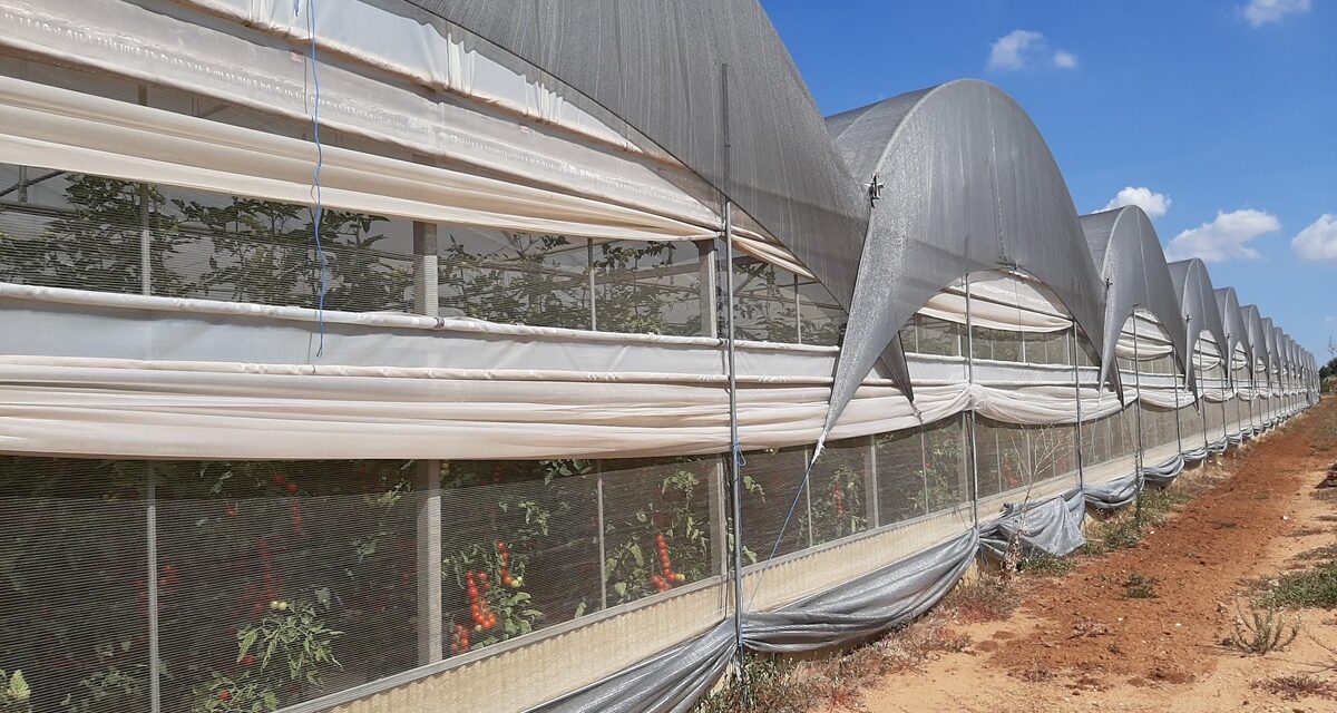 AGRIFRESH RR: innovación en pantallas termodifusoras con micropartículas de aluminio