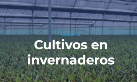 Invernaderos Multitúnel: La Tecnología de INVEUROP para Optimizar tu Producción Agrícola