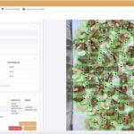 Inteligencia Artificial al servicio del control de calidad de frutos secos