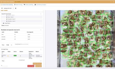 Inteligencia Artificial al servicio del control de calidad de frutos secos
