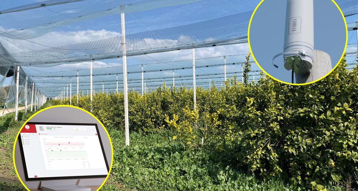 Riego por goteo en limoneros con Toro Tempus® Air